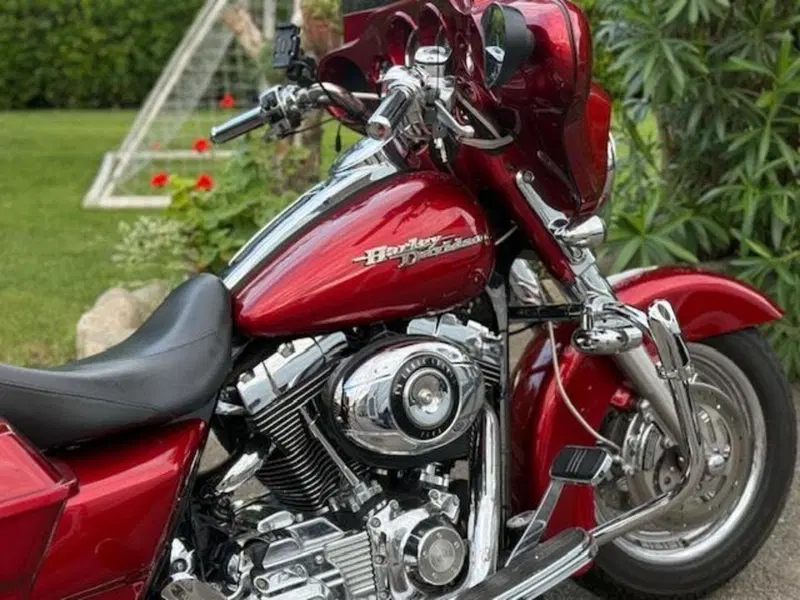 Harley-Davidson 1584 Street Glide (2007) - FLHX (8)