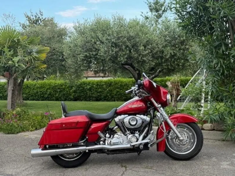 Harley-Davidson 1584 Street Glide (2007) - FLHX (14)
