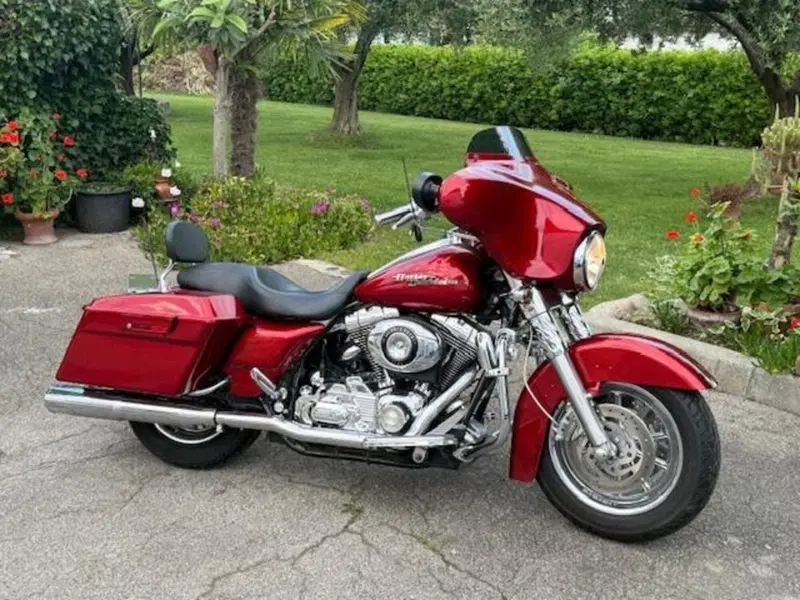 Harley-Davidson 1584 Street Glide (2007) - FLHX (15)