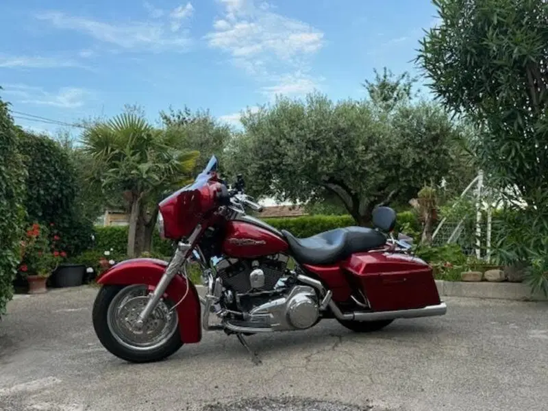 Harley-Davidson 1584 Street Glide (2007) - FLHX (17)