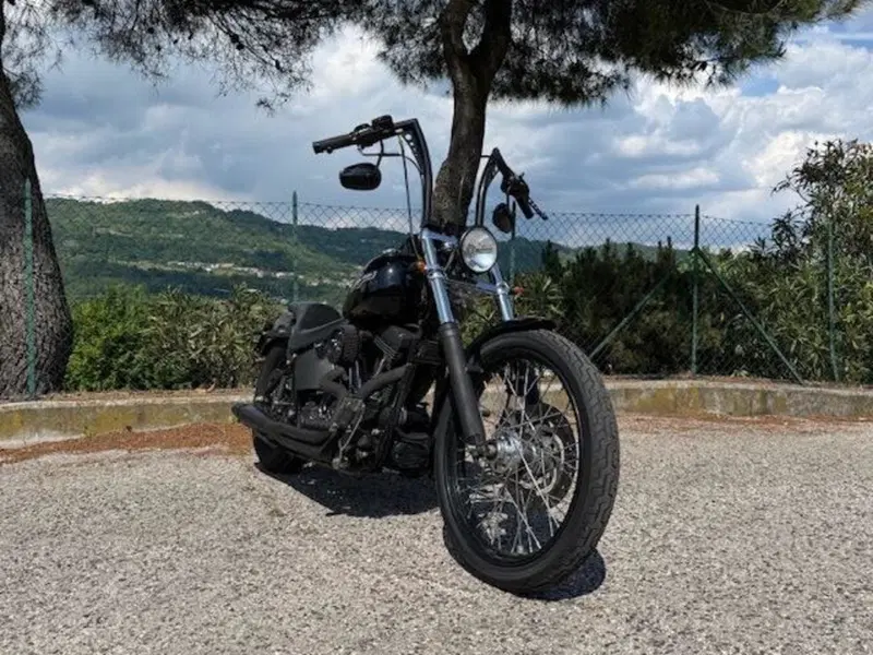 Harley-Davidson 1450 Night Train (2002 - 05) - FXSTBI (14)