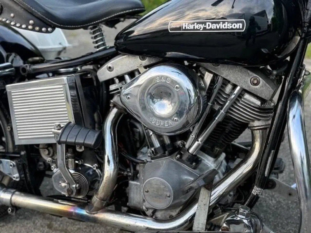 Harley-Davidson 1200 shovelhead electra glide  (6)
