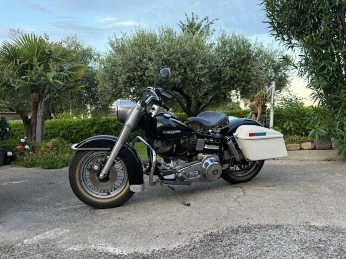 Harley-Davidson 1200 shovelhead electra glide  (11)