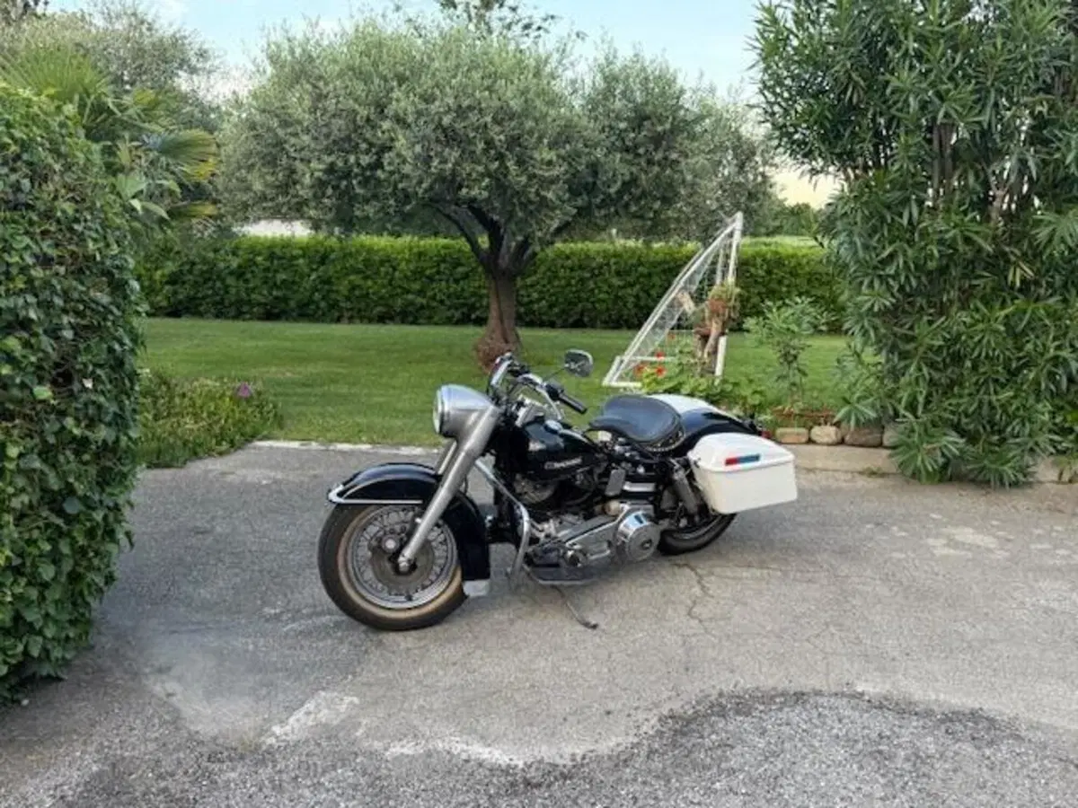 Harley-Davidson 1200 shovelhead electra glide  (14)