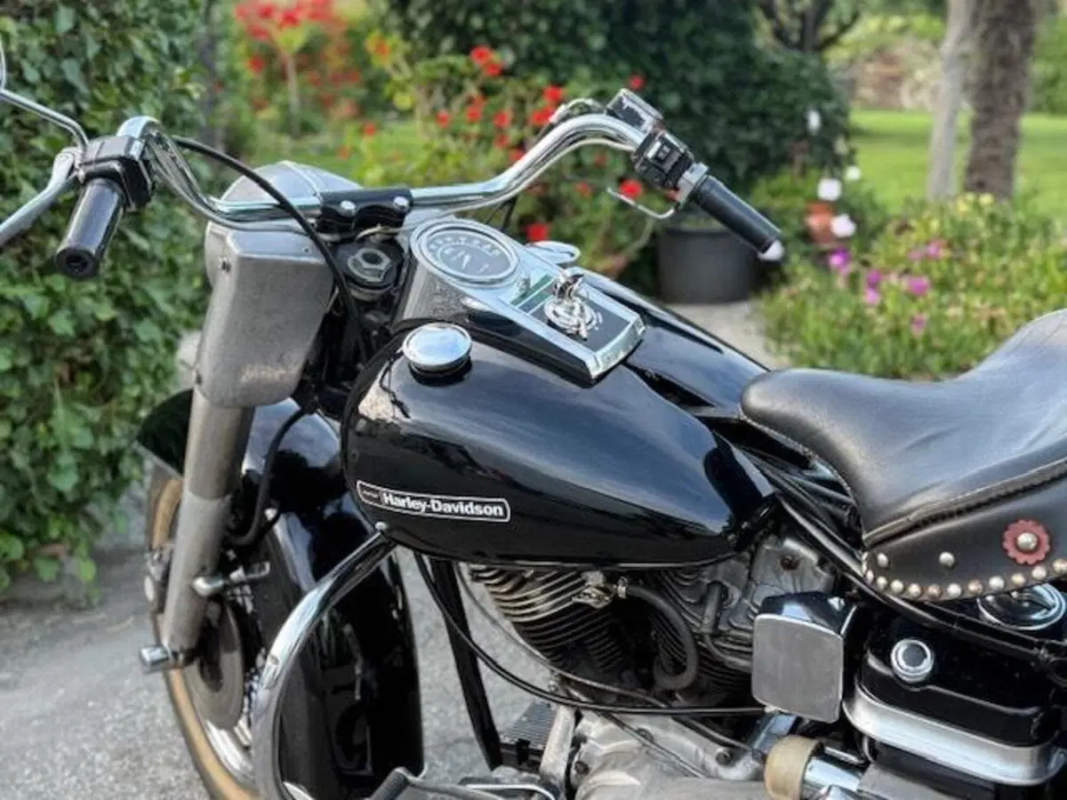 Harley-Davidson 1200 shovelhead electra glide  (17)
