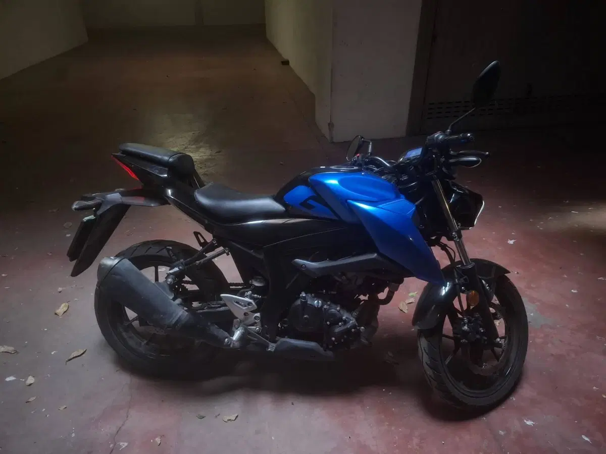 Suzuki GSX-S125 (2022 - 24)