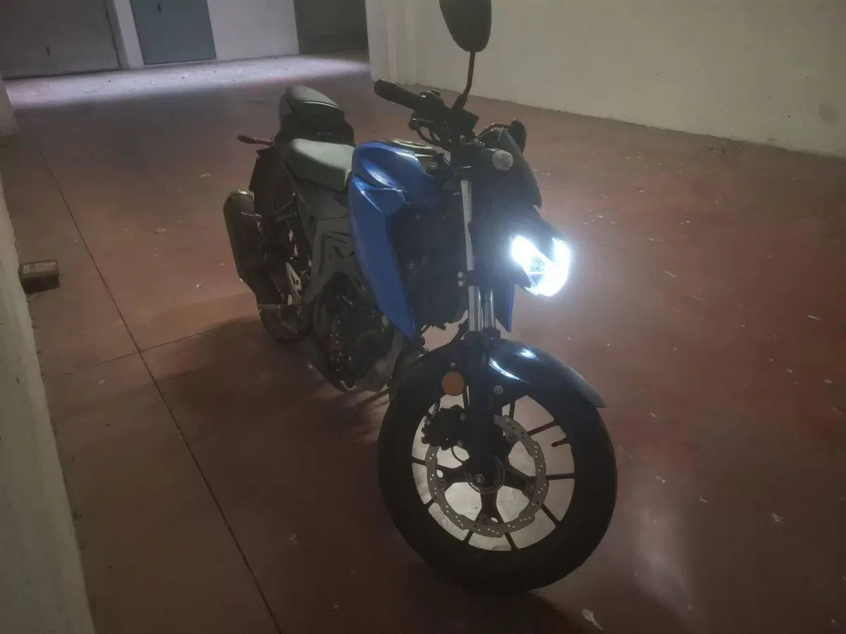 Suzuki GSX-S125 (2022 - 24) (2)