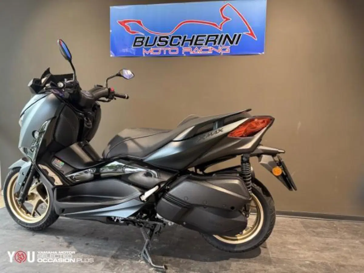 Yamaha X-Max 300 Tech Max (2021 - 24) (6)