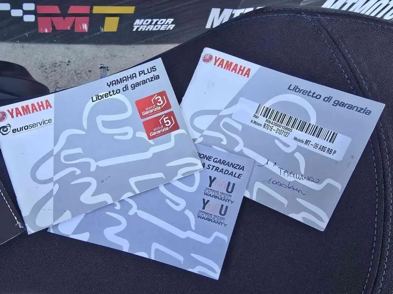 Yamaha MT-09 (2017 - 20) (15)