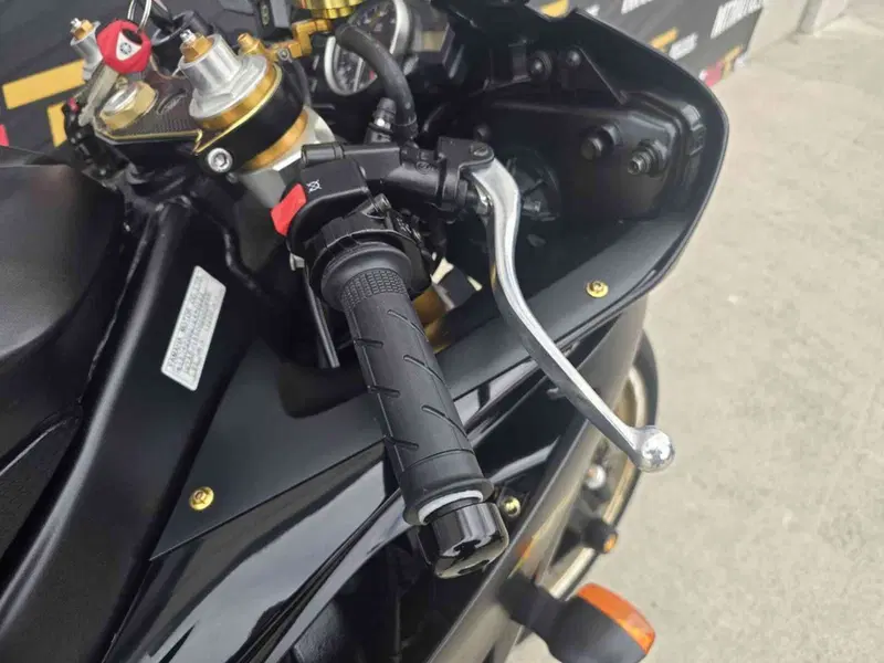 Yamaha YZF R6 (2008 - 09) (20)