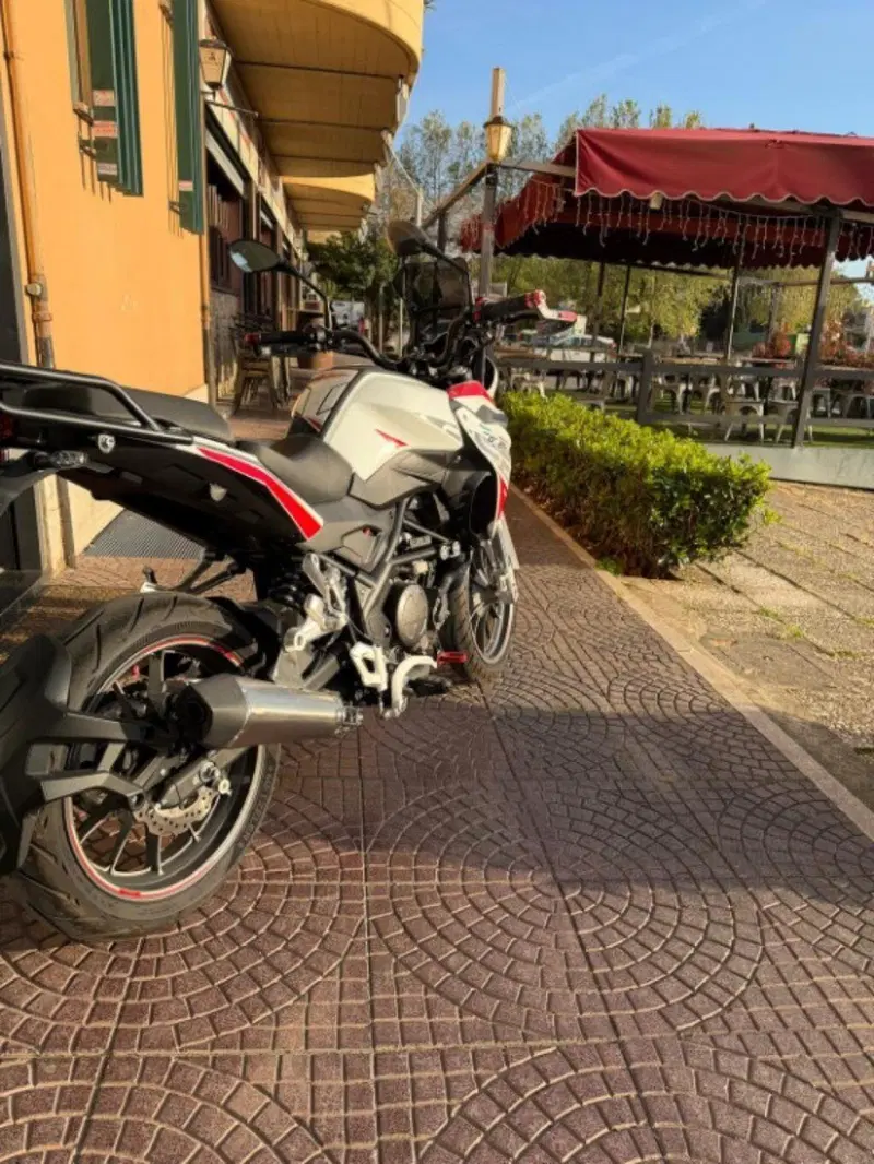 Benelli TRK 251 (2022 - 25) (5)