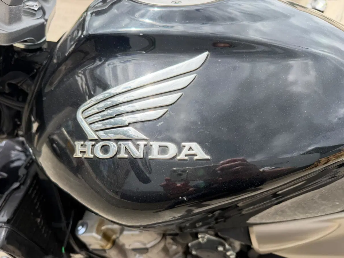 Honda Hornet 600 (2003 - 04) (8)
