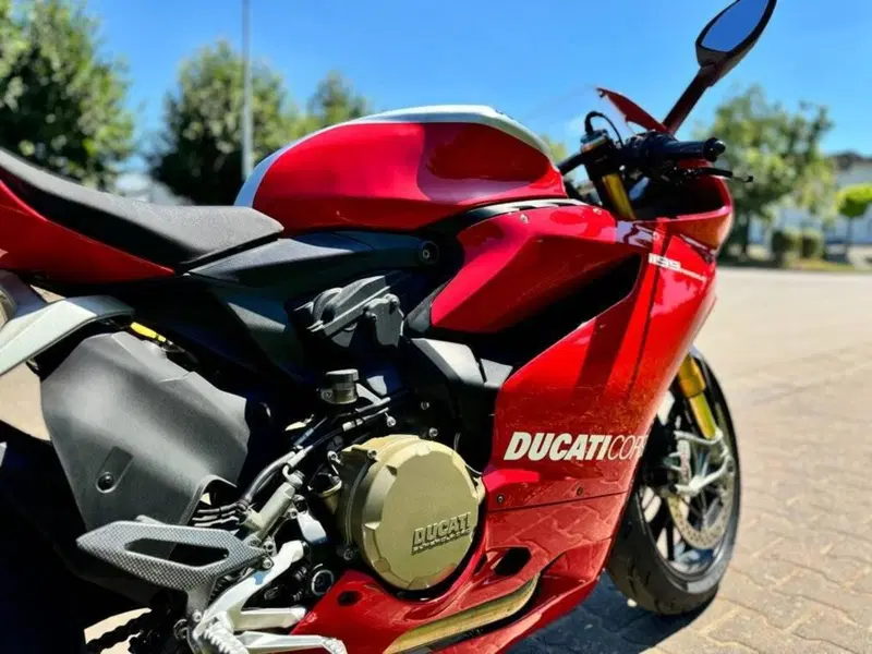 Ducati 1199 Panigale R ABS (2013 - 17) (11)
