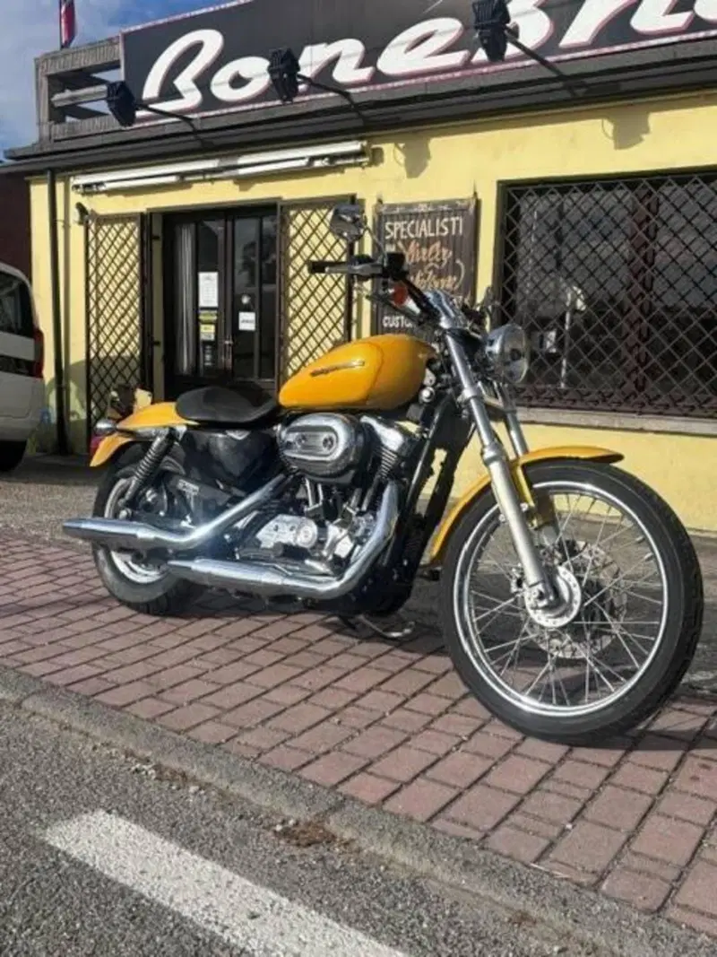 Harley-Davidson 1200 Custom (2004 - 06) - XL 1200C