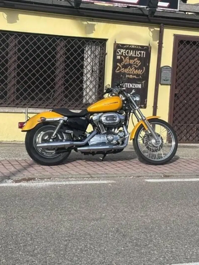 Harley-Davidson 1200 Custom (2004 - 06) - XL 1200C (2)