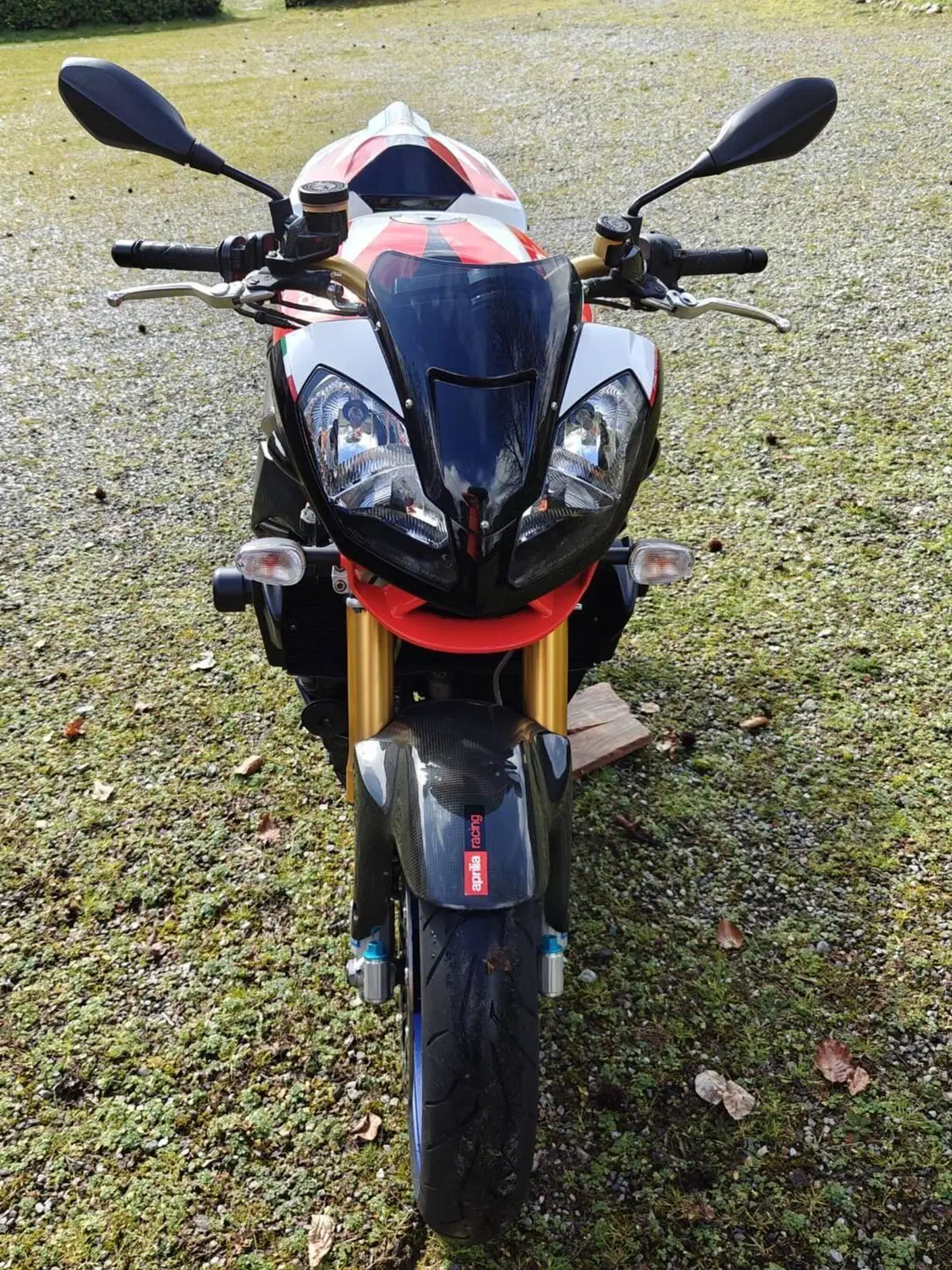 Aprilia Tuono 1000 R Factory (2006 - 11) (3)