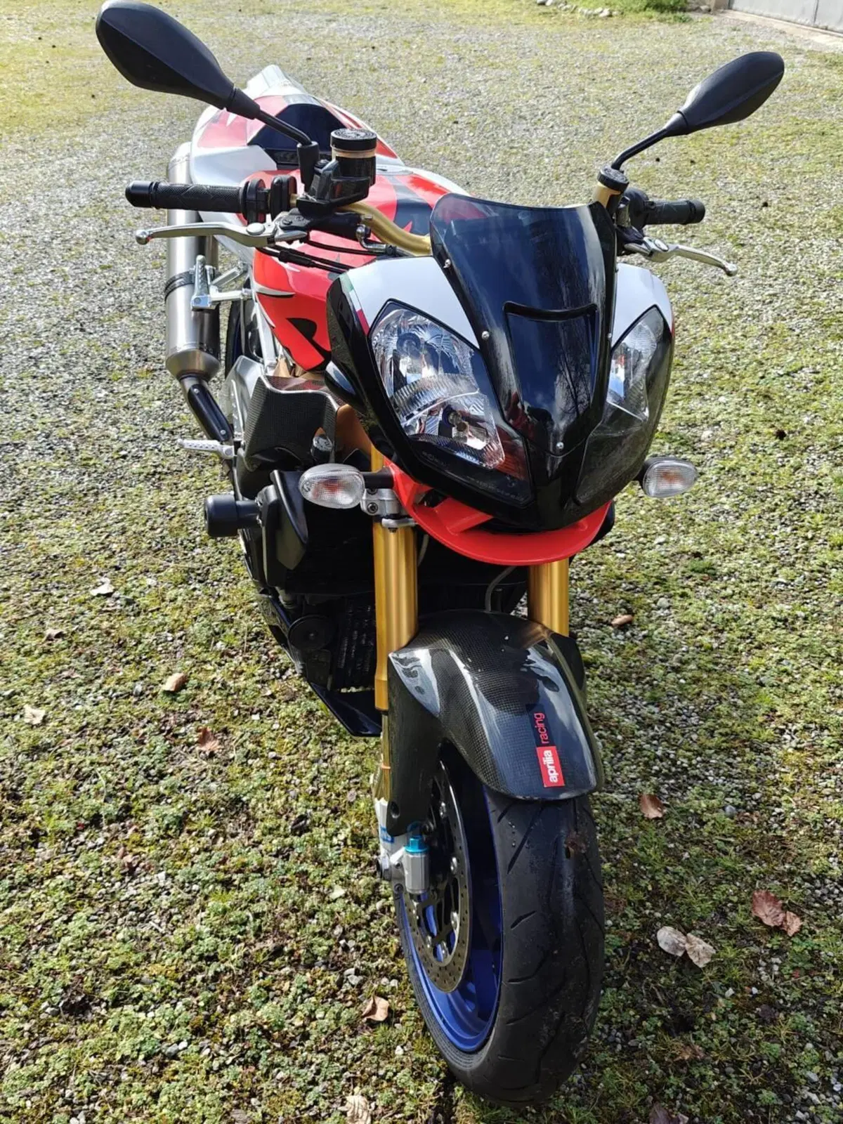 Aprilia Tuono 1000 R Factory (2006 - 11) (6)