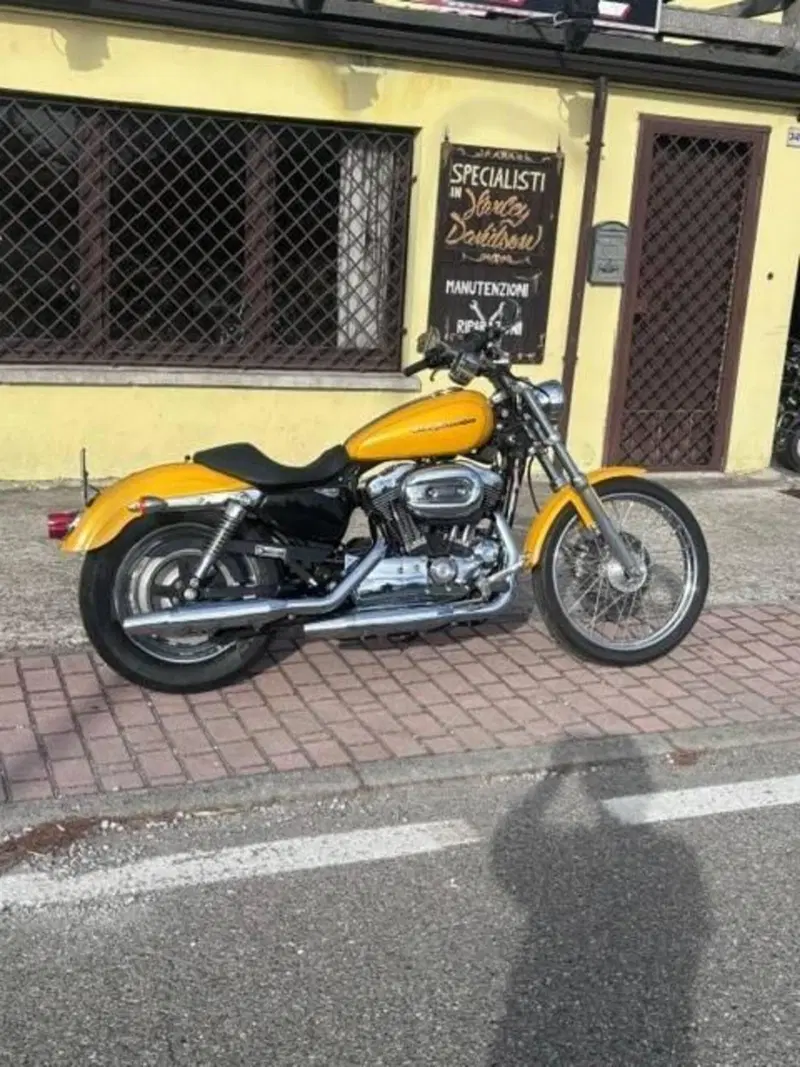 Harley-Davidson 1200 Custom (2004 - 06) - XL 1200C (4)