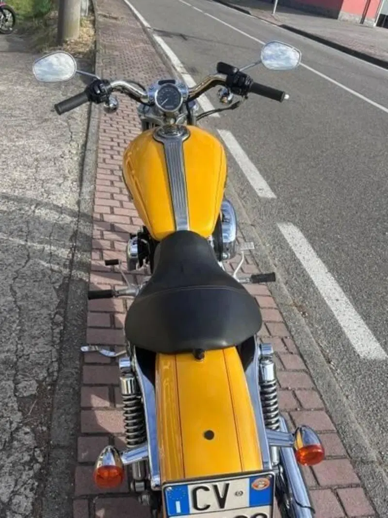 Harley-Davidson 1200 Custom (2004 - 06) - XL 1200C (5)