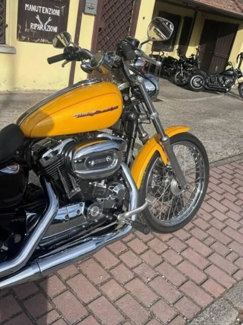 Harley-Davidson 1200 Custom (2004 - 06) - XL 1200C (6)