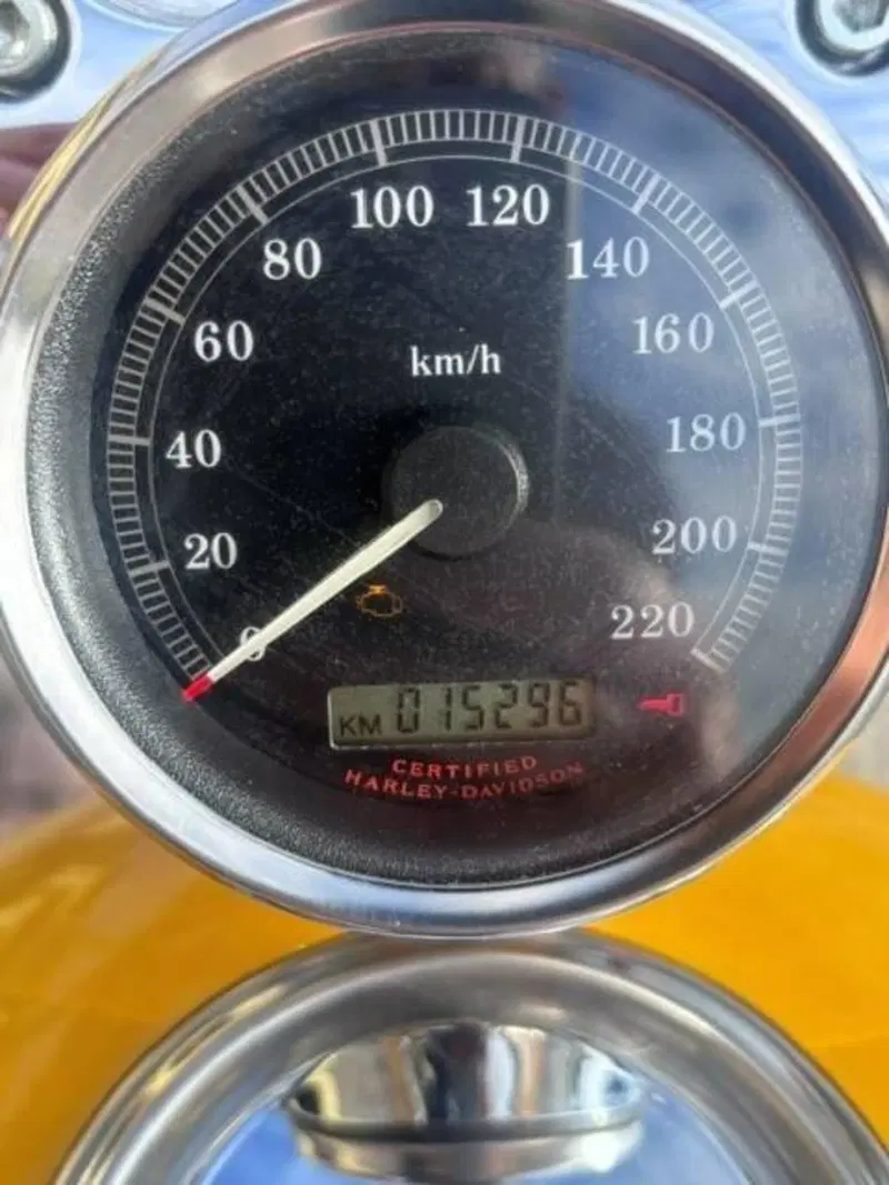 Harley-Davidson 1200 Custom (2004 - 06) - XL 1200C (9)