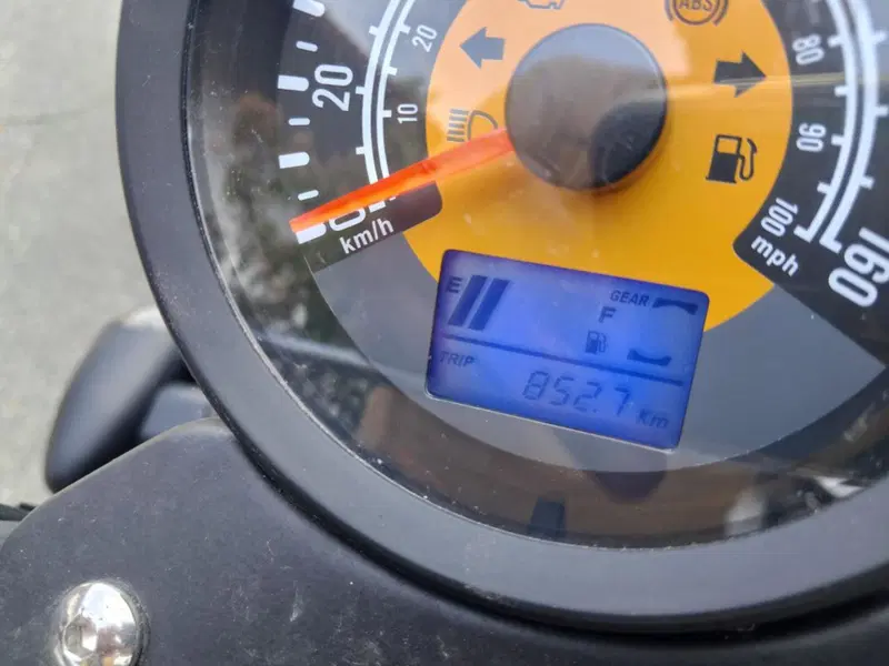 Mash Italia Dirt Track 250 (2019 - 20) (10)
