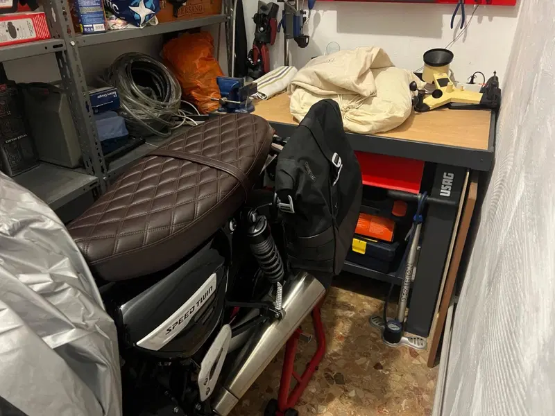 Triumph Speed Twin 1200 (2021 - 24) (4)