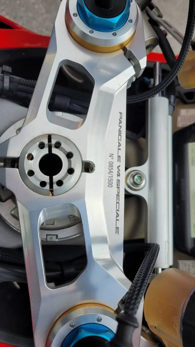Ducati Panigale V4 Speciale 1100 (2018 - 19) (3)