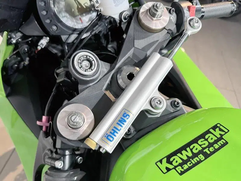 Kawasaki Ninja 1000 ZX-10R (2008 - 09) (3)