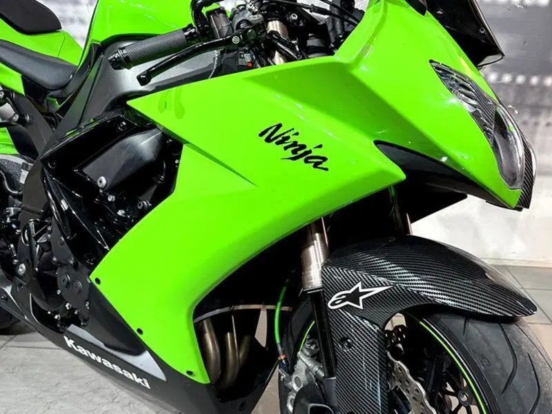 Kawasaki Ninja 1000 ZX-10R (2008 - 09) (5)