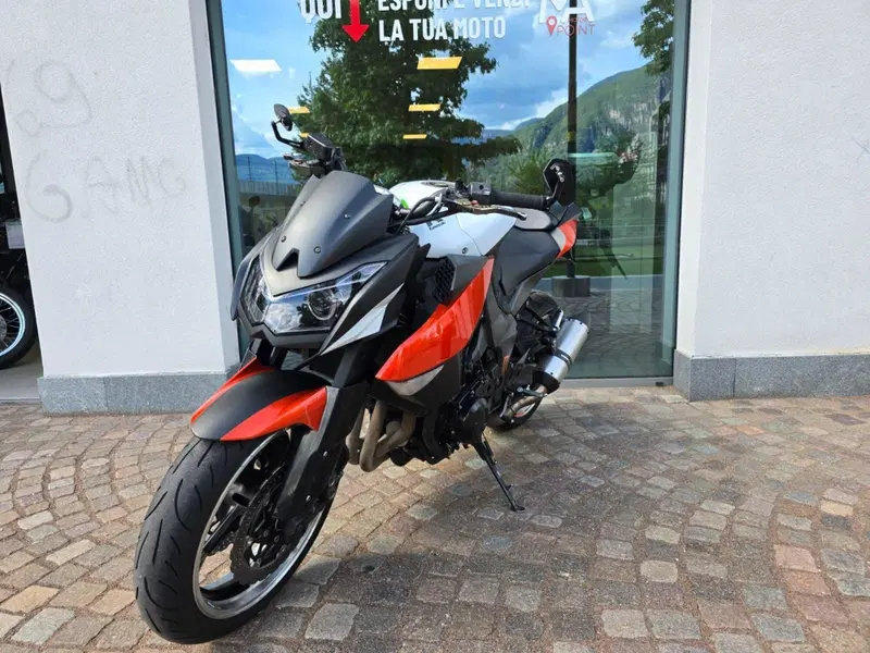 Kawasaki Z 1000 (2010 - 13) (4)
