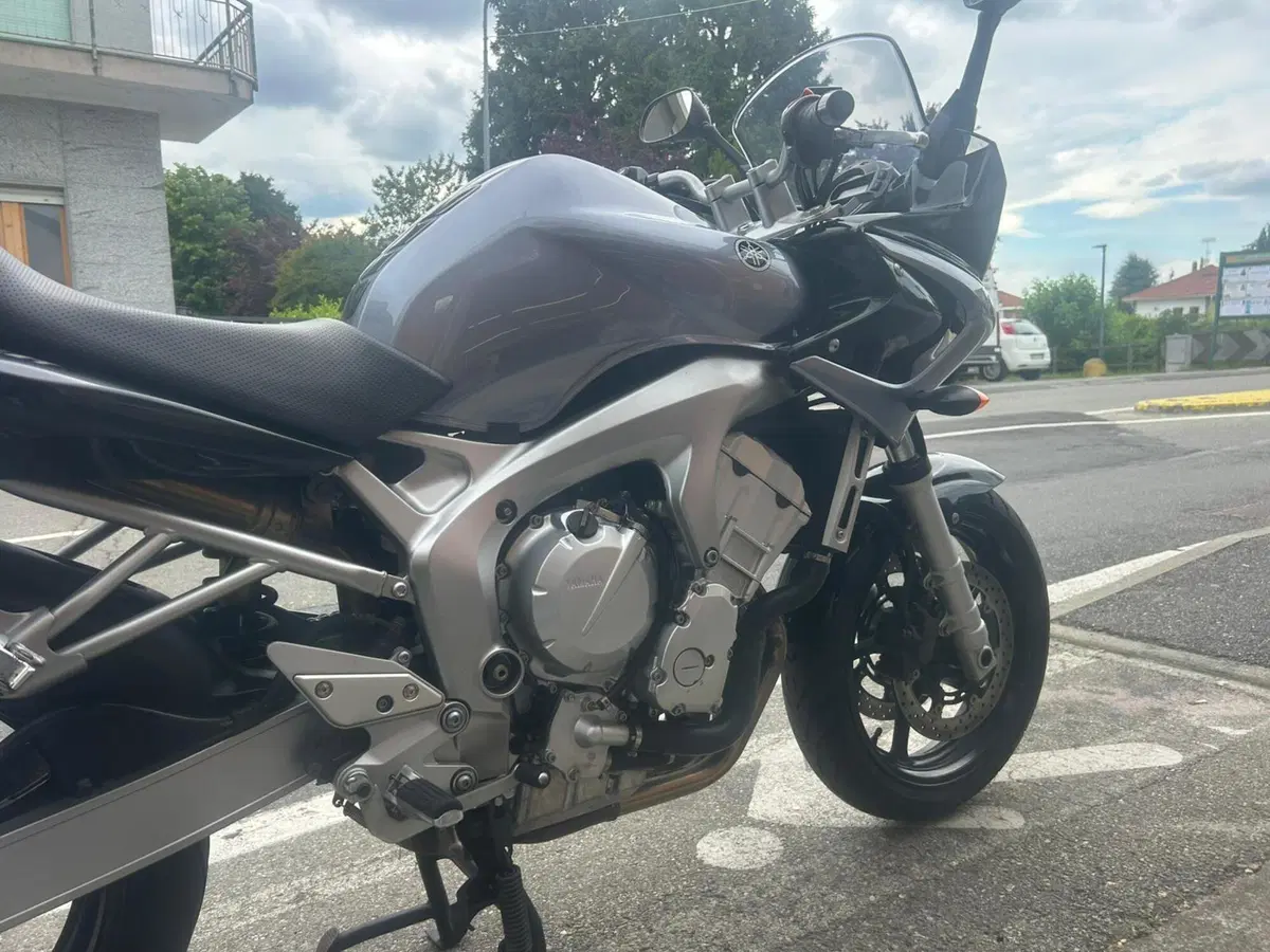 Yamaha FZ6 Fazer (2004 - 07) (4)