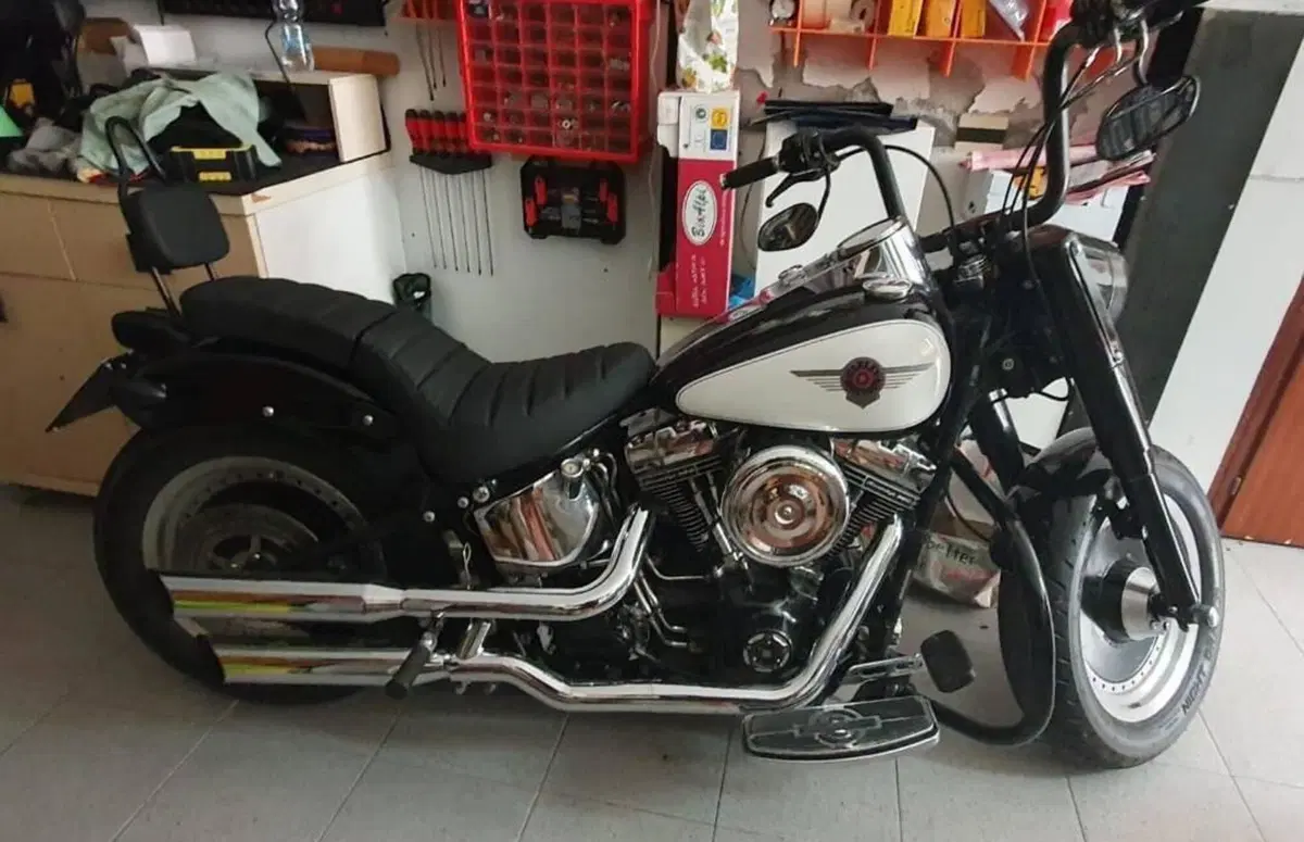 Harley-Davidson 1450 Fat Boy (1999 - 02) - FLSTF (8)