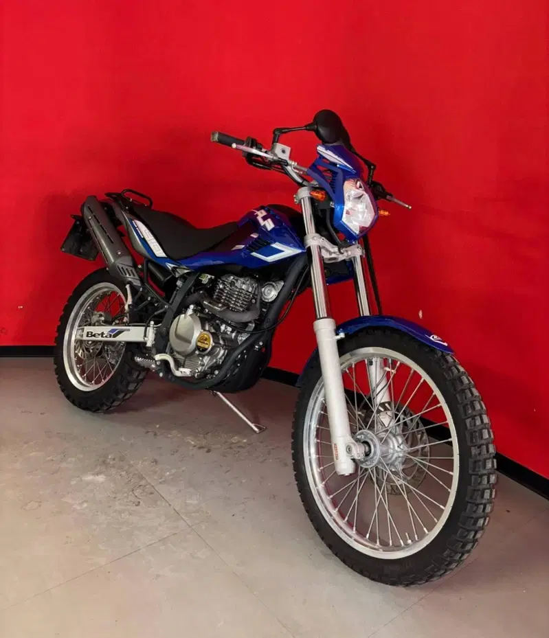 Betamotor Alp 4.0 (2008 - 17) (2)