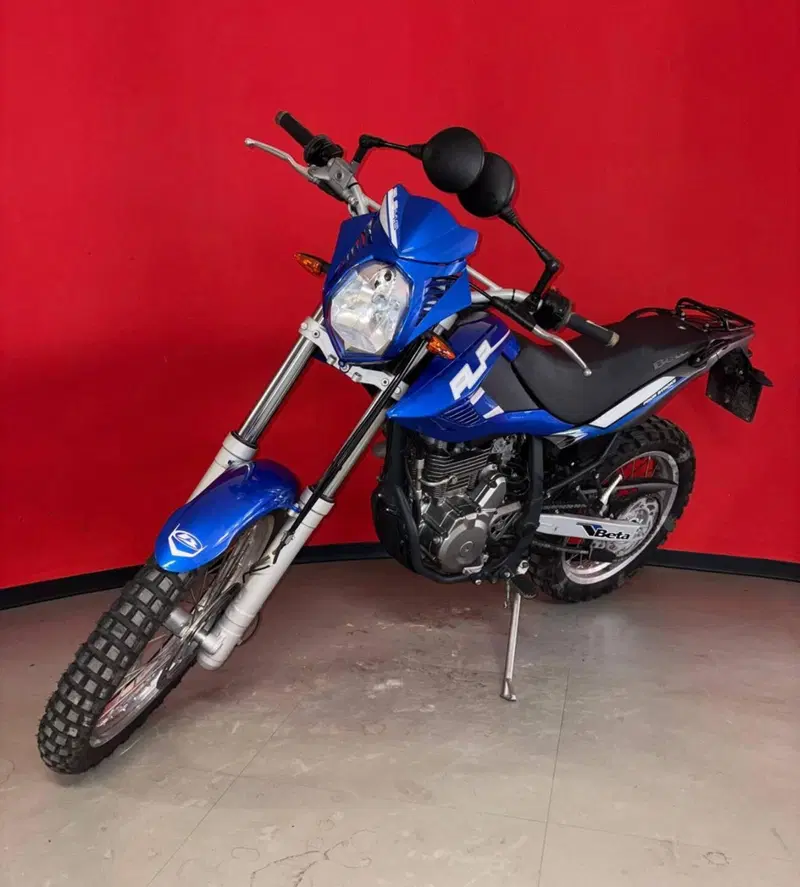 Betamotor Alp 4.0 (2008 - 17) (4)