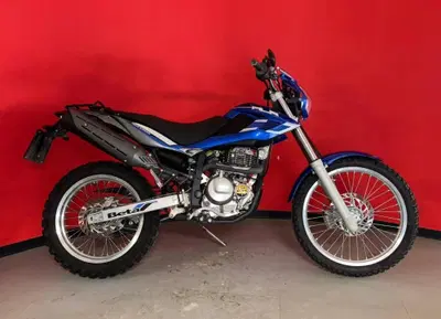 Betamotor Alp 4.0 (2008 - 17) usata