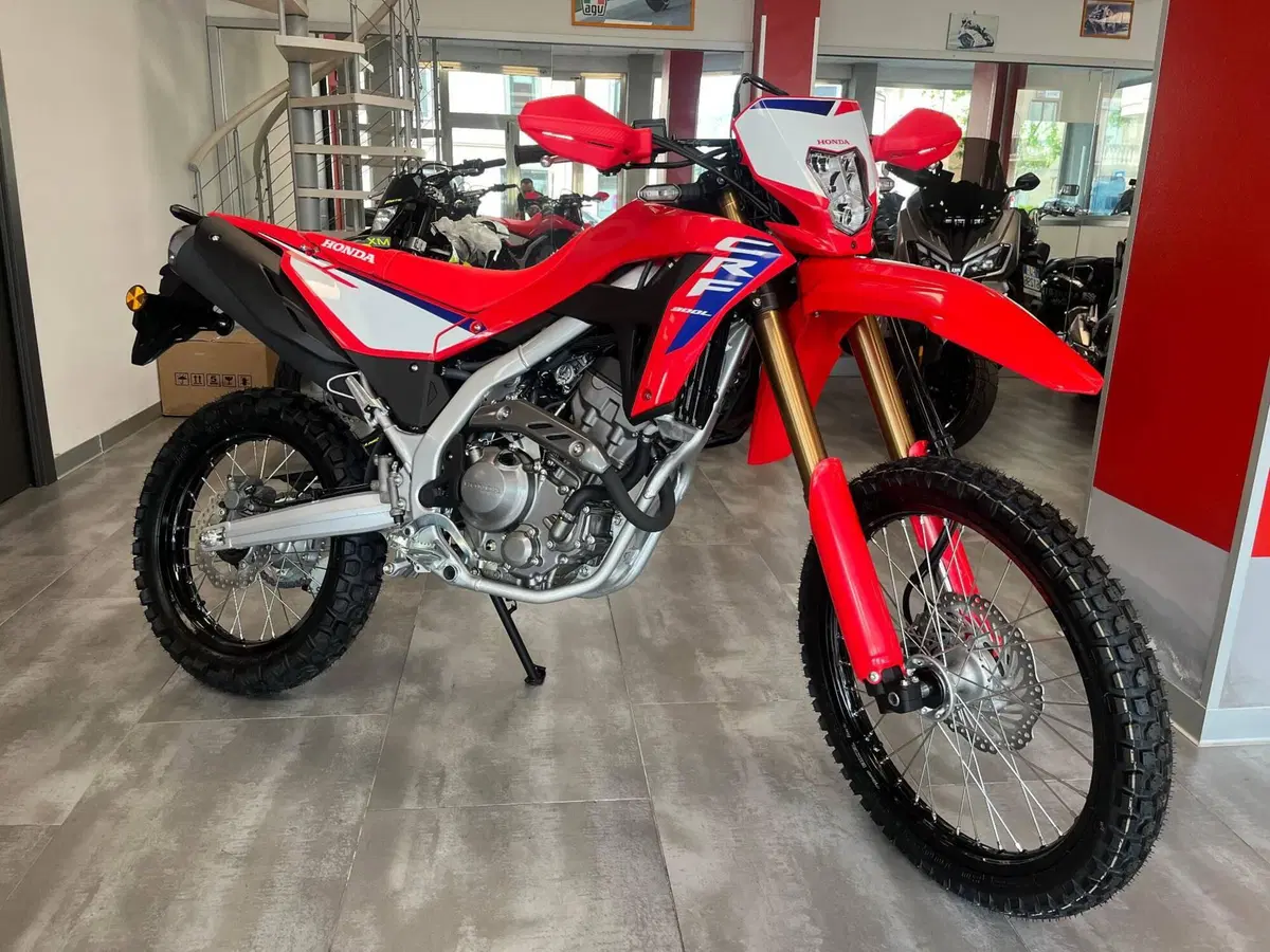Honda CRF 300L (2025 - 26)
