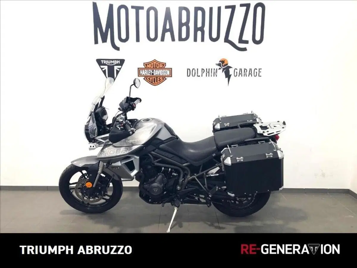 Triumph Tiger 800 XRt (2018 - 20) (15)