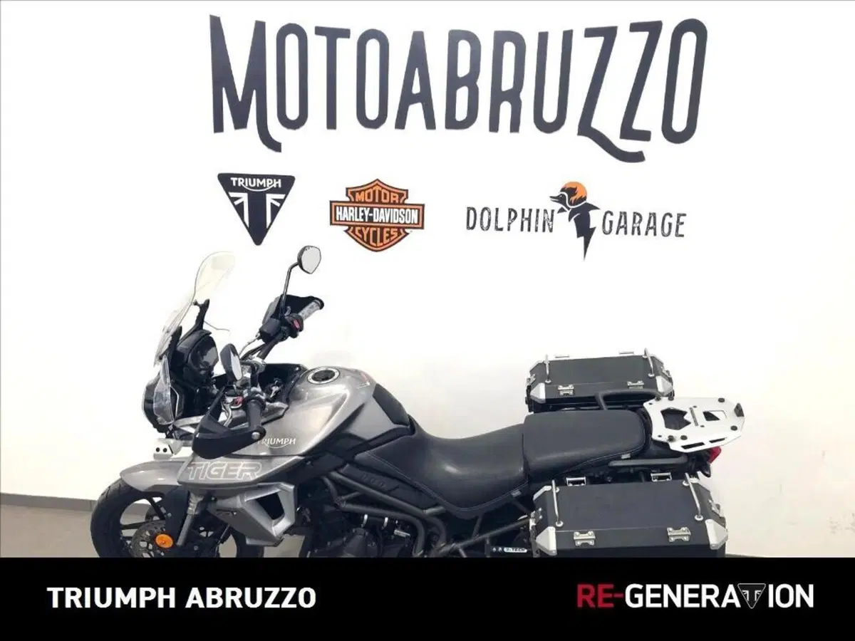Triumph Tiger 800 XRt (2018 - 20) (12)