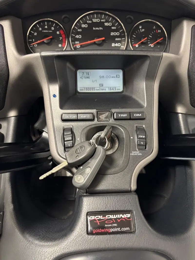 Honda GL 1800 Gold Wing (2006) (6)