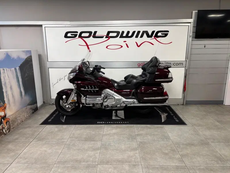 Honda GL 1800 Gold Wing (2006) (13)