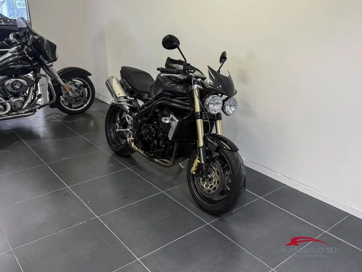 Triumph Speed Triple 1050 (2005 - 11) (2)