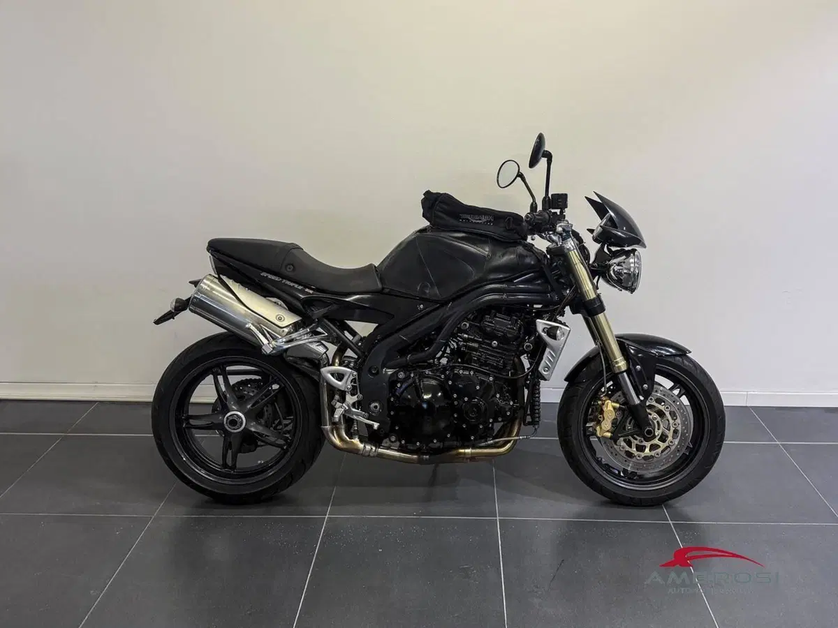 Triumph Speed Triple 1050 (2005 - 11) (4)