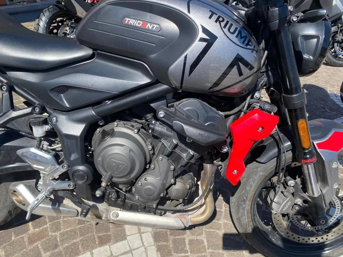 Triumph Trident 660 (2021 - 24) (6)