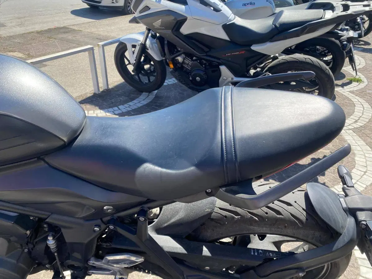 Triumph Trident 660 (2021 - 24) (8)