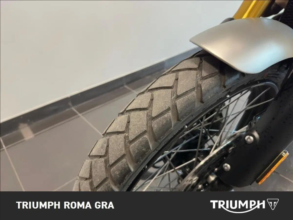 Triumph Scrambler 1200 XE (2024 - 25) (15)