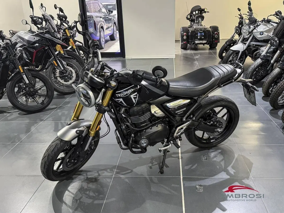 Triumph Speed 400 (2024 - 26) (2)