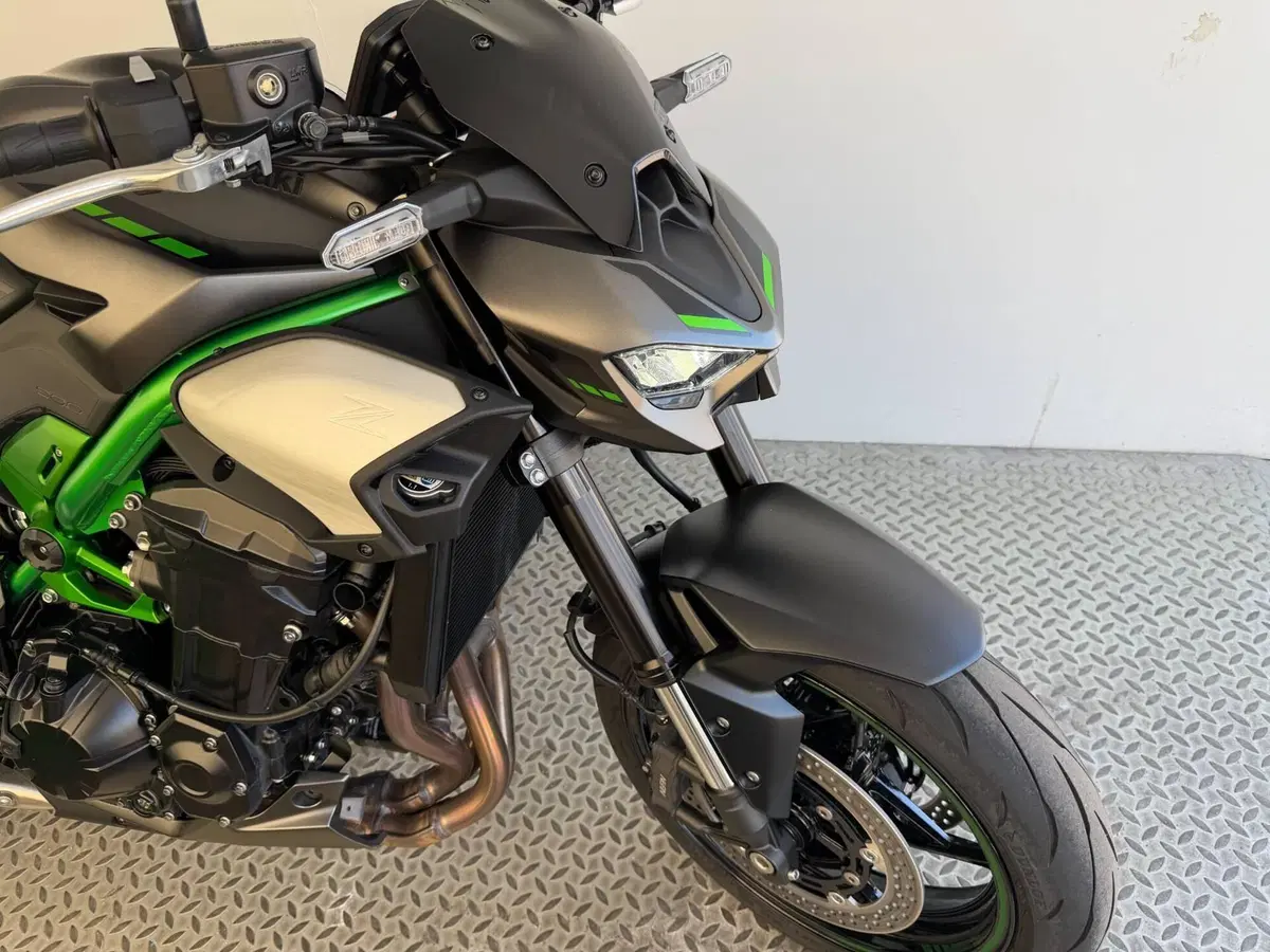 Kawasaki Z 900 Performance (2025 - 26) (2)