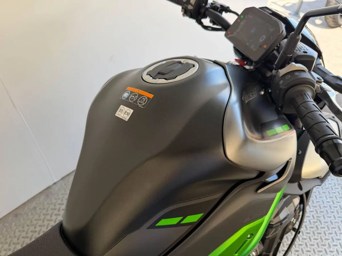 Kawasaki Z 900 Performance (2025 - 26) (4)