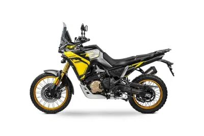 Voge Valico 800DSX Rally (2025 - 26) nuova